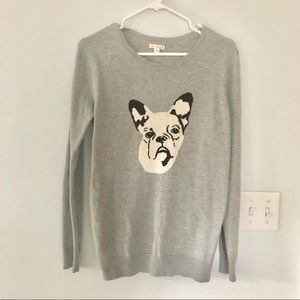 Gap dog sweater